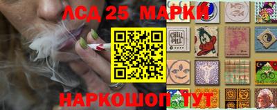эйфоретик Донской