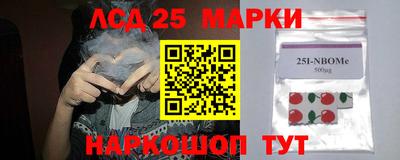 эйфоретик Донской