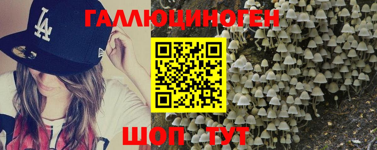 Галлюциногенные грибы Cubensis Кинель