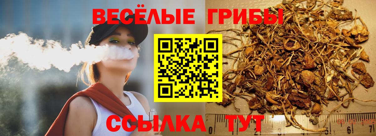 Кинель  Галлюциногенные грибы прущие грибы  Вход с VPN 